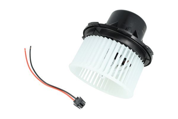 Salongipuhur, NRF 34185