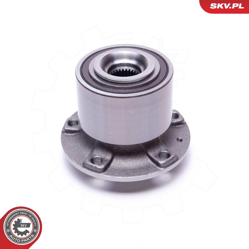 ESEN SKV 29SKV558 Wheel Bearing Kit