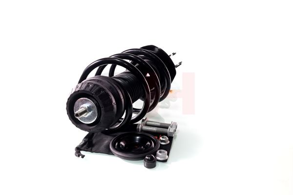 Vedruamort, GH GH-353389C02