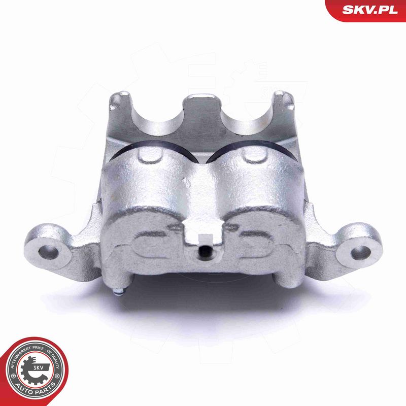 ESEN SKV 55SKV012 Brake Caliper
