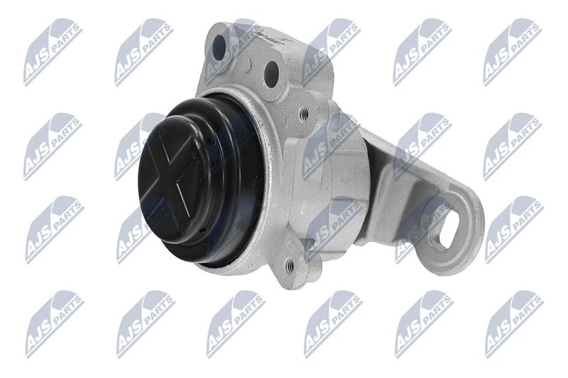 Paigutus, Mootor, NTY ZPS-FR-044