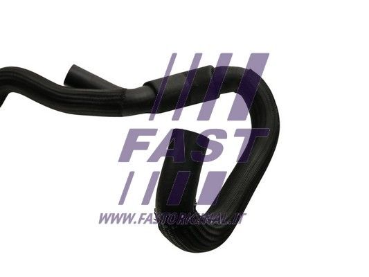 FT61104_3_1.JPG