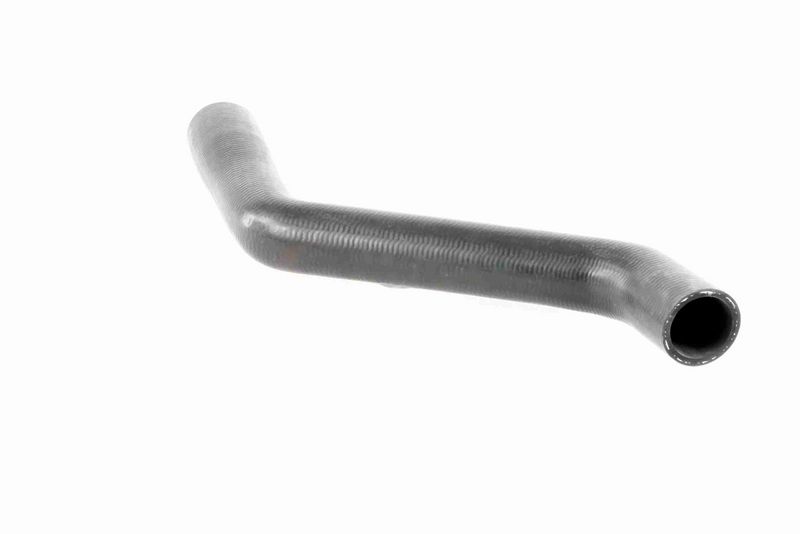 VAICO V40-1162 Radiator Hose
