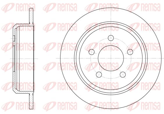 REM6913-00-MODEL.BMP