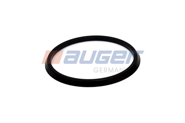 Dichtring, Achsschenkel (Federbock)