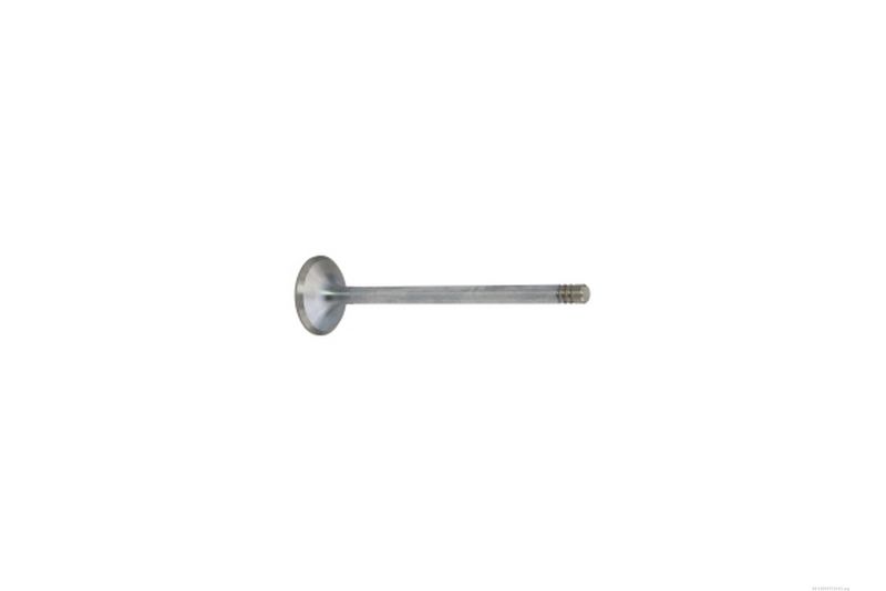 AUTOMEGA 130097110 Exhaust Valve