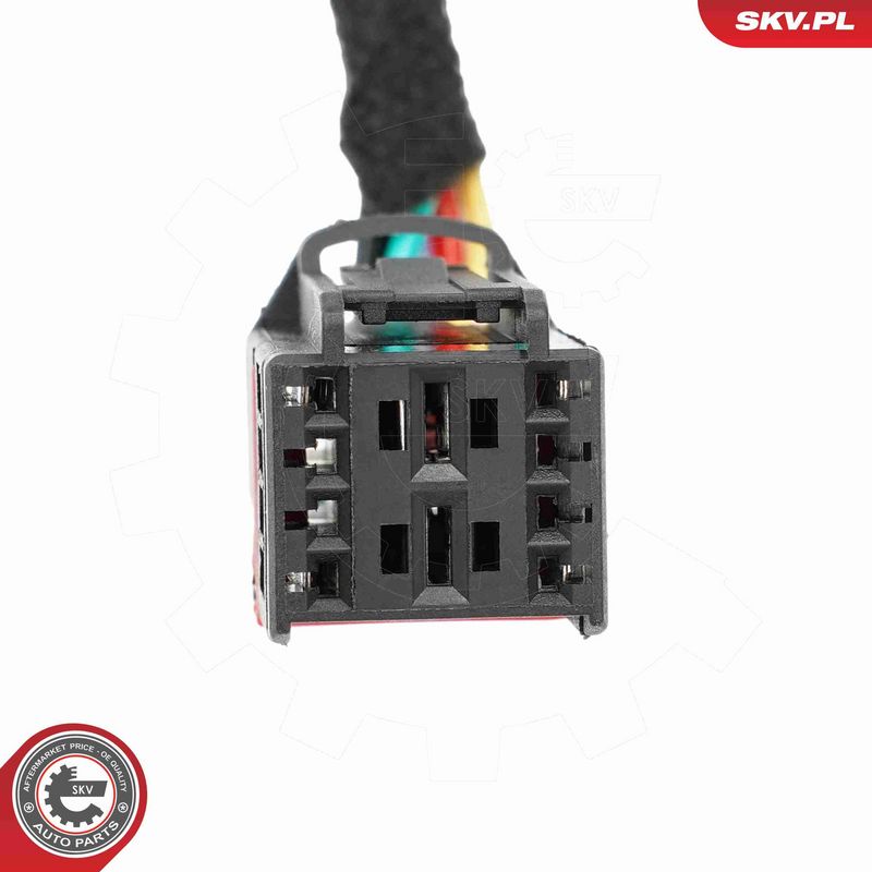ESEN SKV 52SKV253 Electric Motor, tailgate