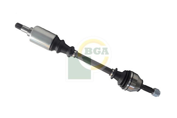 Veovõll, BGA DS1417L