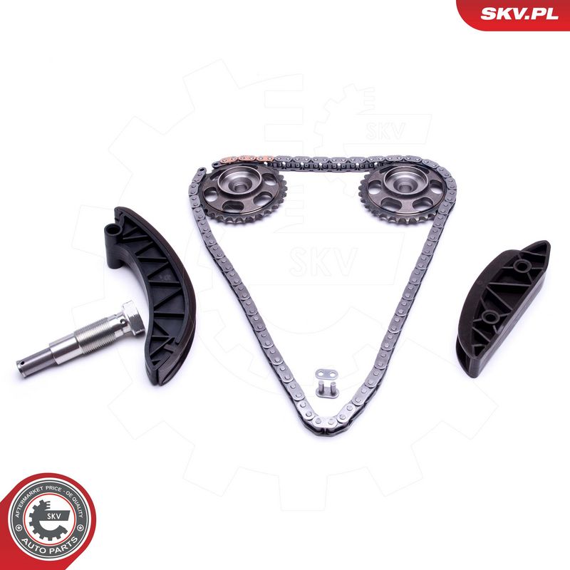 Mootori keti komplekt, ESEN SKV 21SKV171