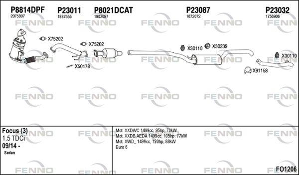 FO1206.JPG