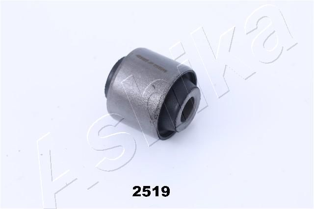 GOM-2519_1.JPG