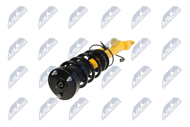 Amort, NTY A-CH-122