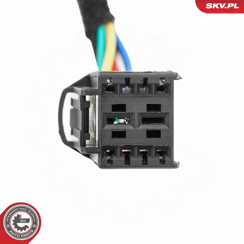 ESEN SKV 52SKV256 Electric Motor, tailgate