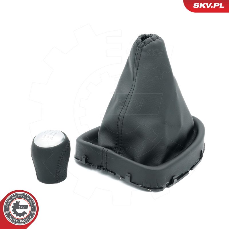 Käigukanginupp, ESEN SKV...