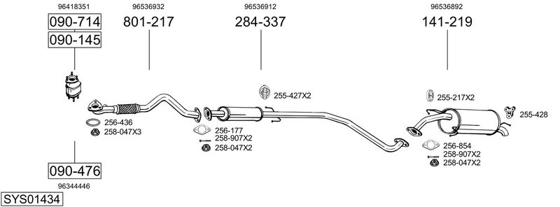 SYS01434.JPG