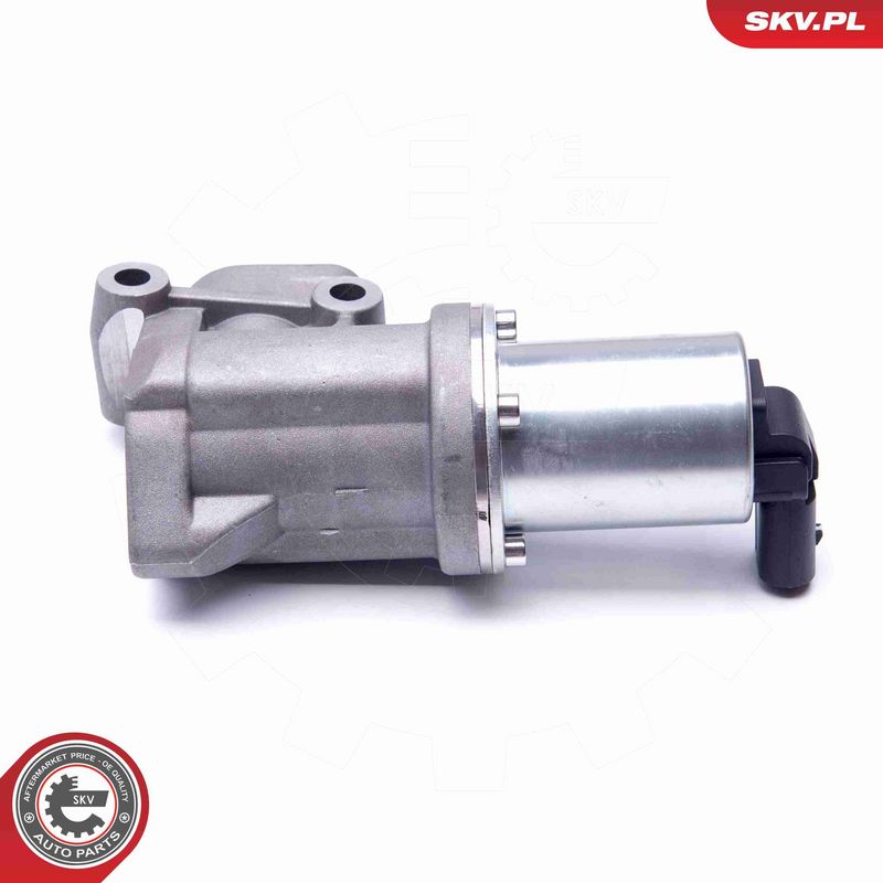 ESEN SKV 14SKV105 EGR vožtuvas