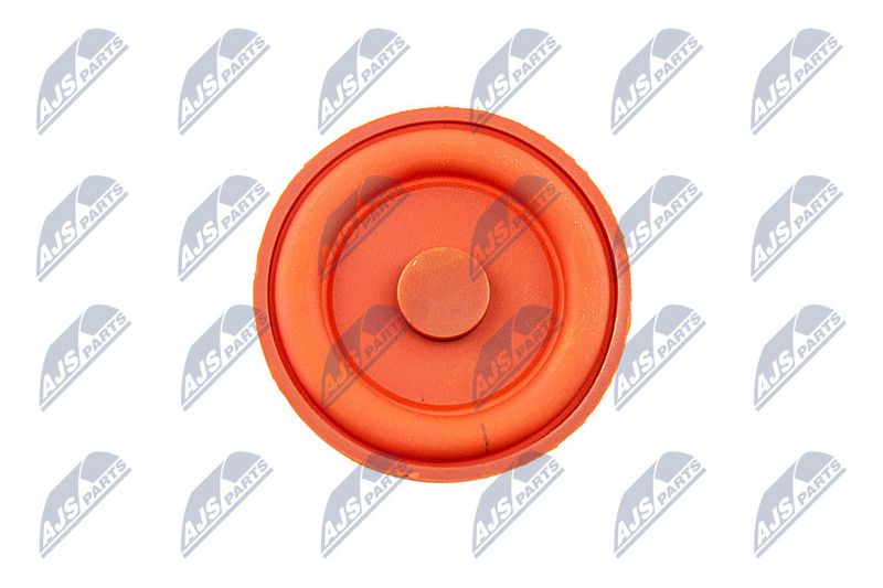 Klapikaas, NTY BPZ-PL-006