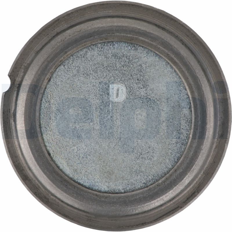 TRAG-/FüHRUNGSGELENK DELPHI TC836 2