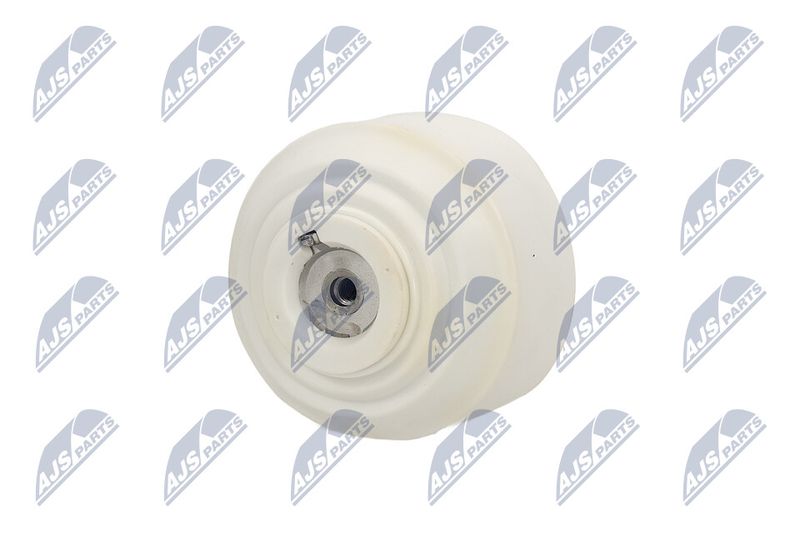 Paigutus, Mootor, NTY ZPS-ME-103