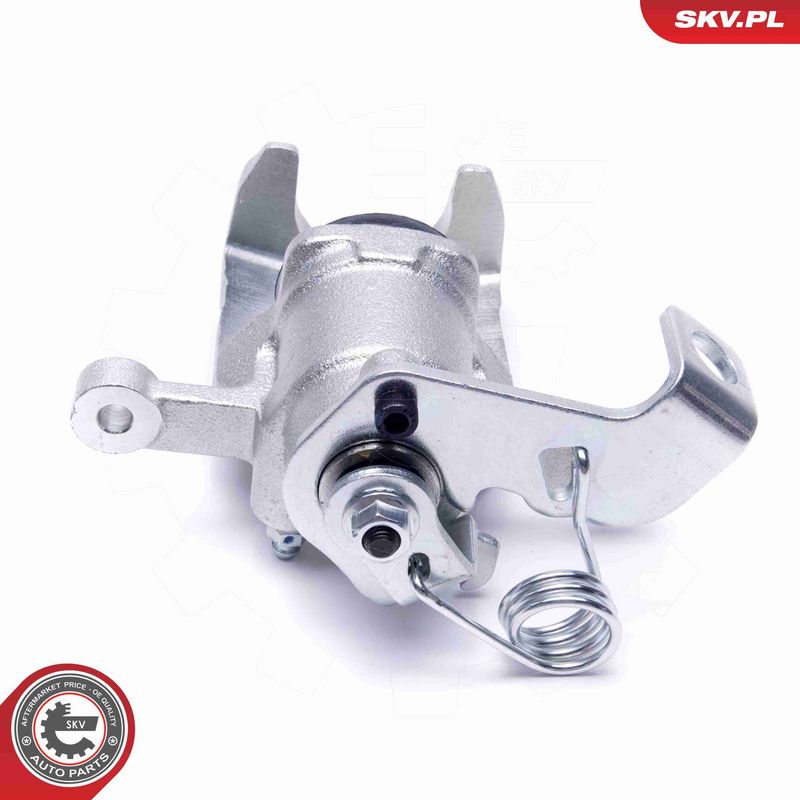 ESEN SKV 56SKV123 Brake Caliper
