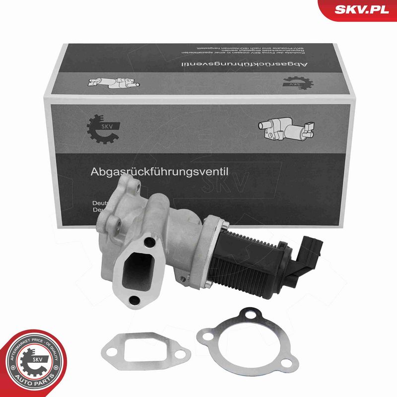 ESEN SKV 14SKV314 - EGR Valve