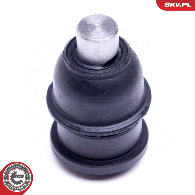 Kande-, juhtliigend, ESEN...