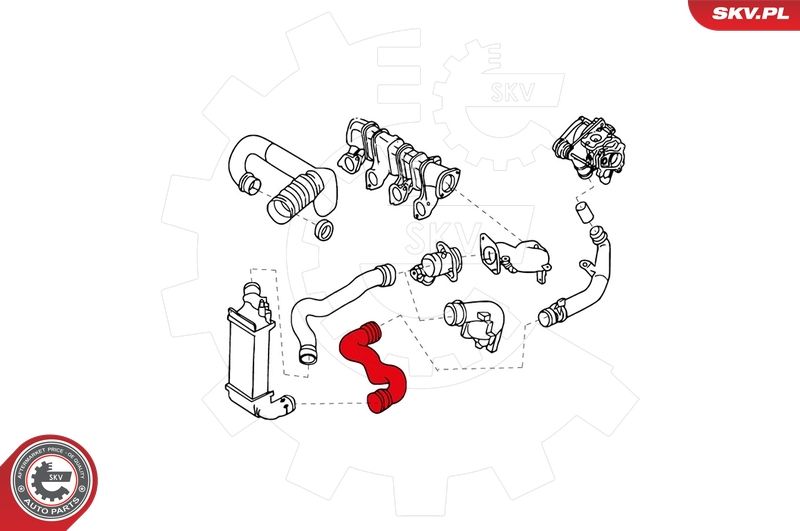 Шланг подачі наддувального повітря, Skv Germany 43SKV089