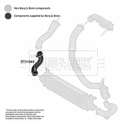 Шланг подачі наддувального повітря, Borg & Beck BTH1565