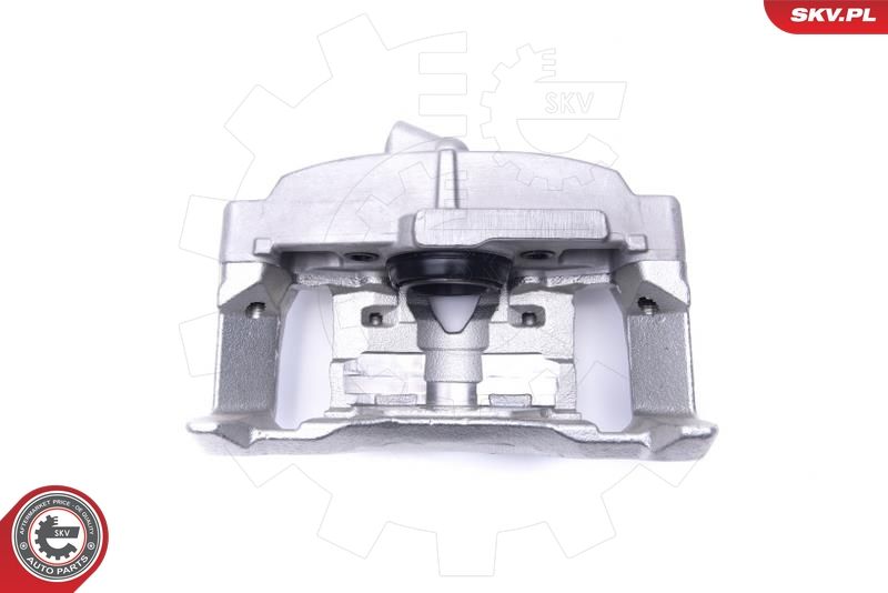 Гальмівний супорт, Skv Germany 55SKV781