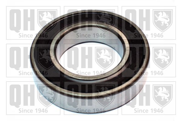 QH_XB9948.JPG