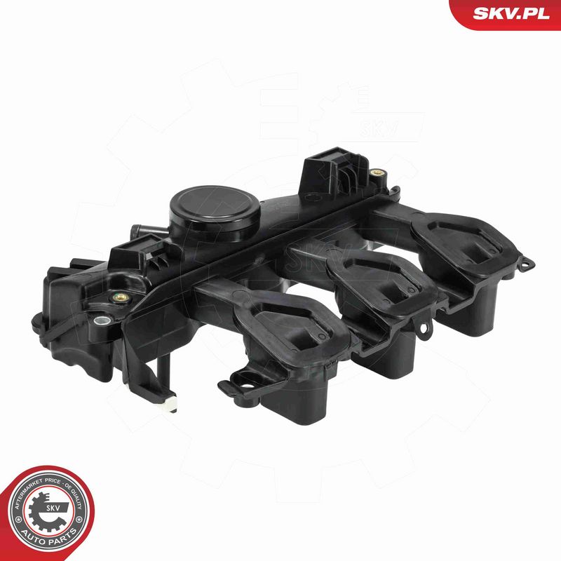 ESEN SKV 49SKV102 Intake Manifold Module