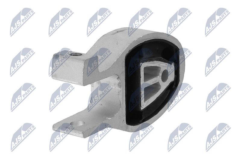 Paigutus, Mootor, NTY ZPS-FR-038