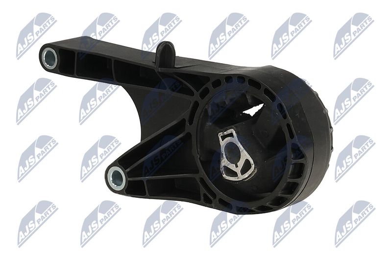 Paigutus, Mootor, NTY ZPS-PL-058