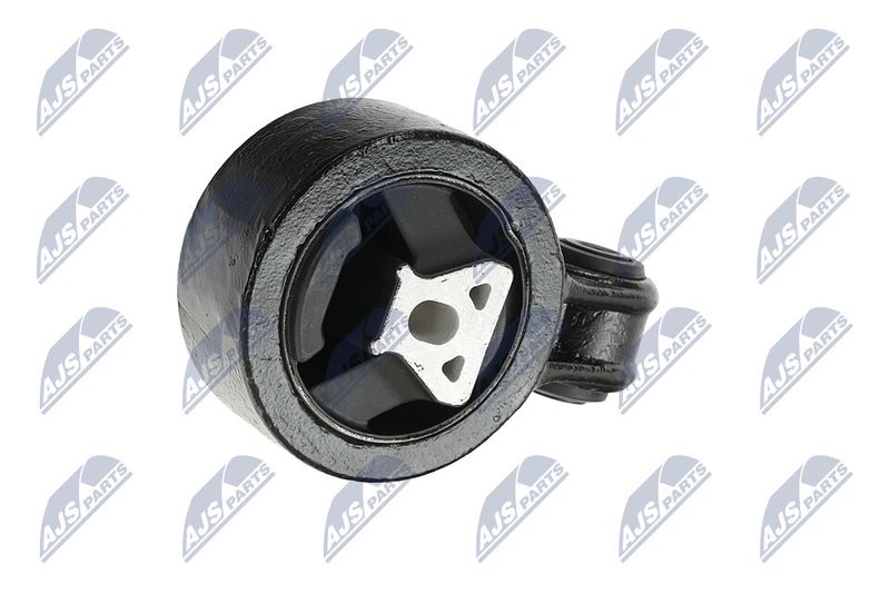 Paigutus, Mootor, NTY ZPS-CH-137