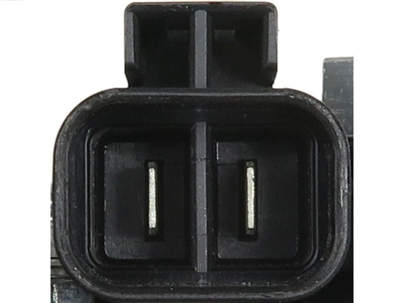272277.JPG