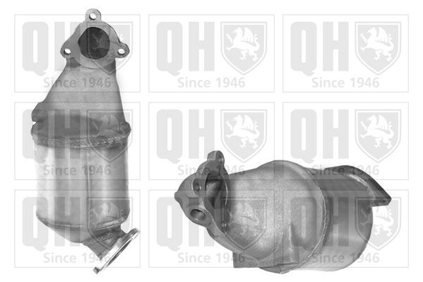 QH_QCAT80437H.JPG