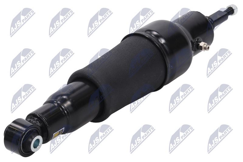 Amort, NTY A-NS-051