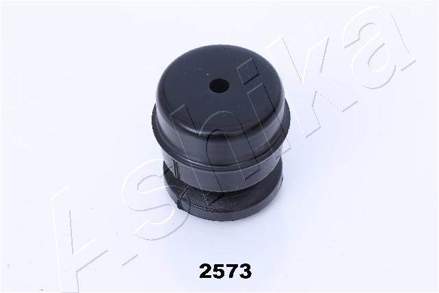 GOM-2573_2.JPG