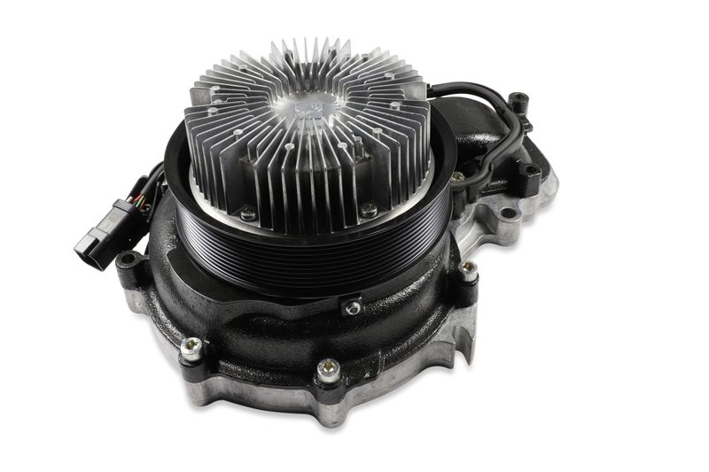 P9808 (2).JPG