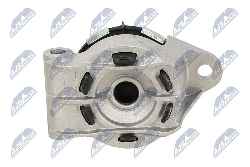 Paigutus, Mootor, NTY ZPS-PL-003