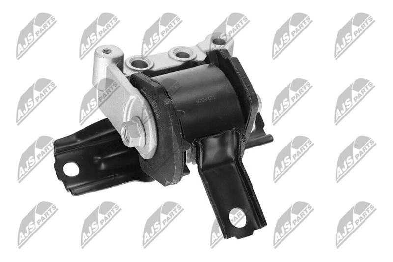 Paigutus, Mootor, NTY ZPS-CH-071