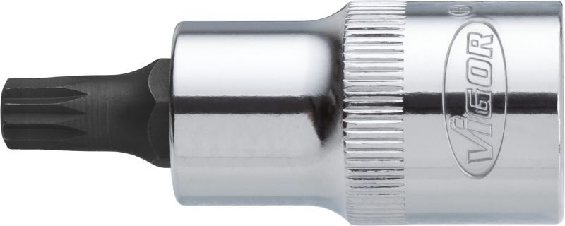 Padrun, VIGOR V2095