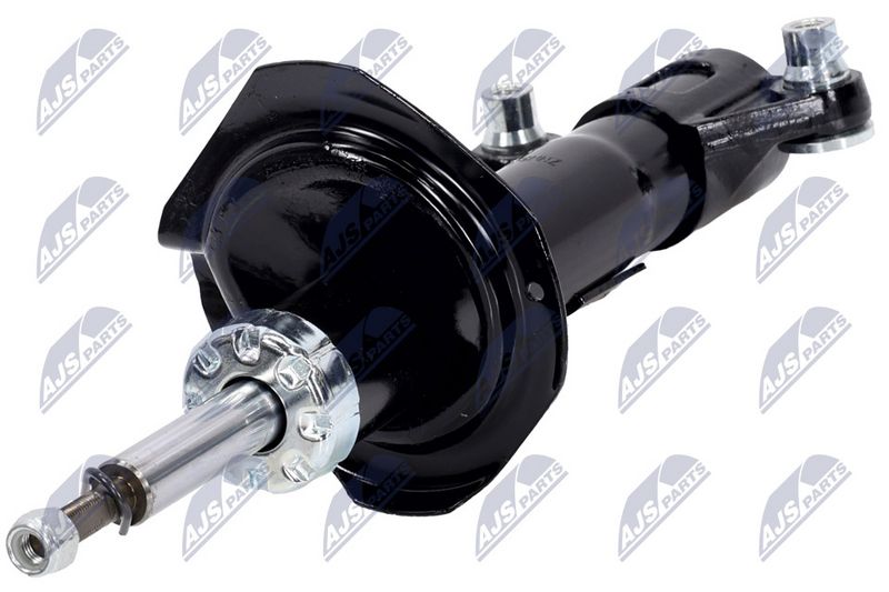 Amort, NTY A-NS-016
