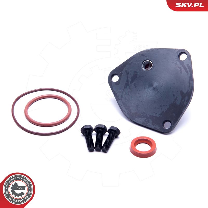 Remondikomplekt, vaakumpump(pidurisüsteem), ESEN SKV 18SKV800