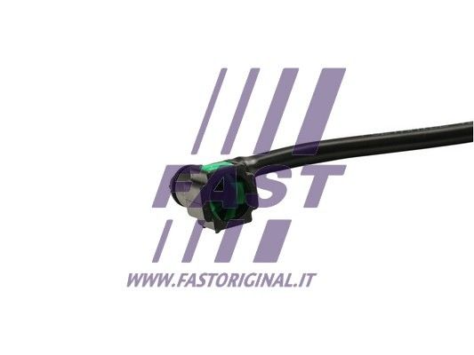 FT61132_3_1.JPG