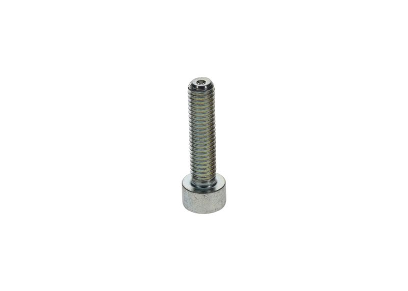 Surub 2 910 148 203 BOSCH