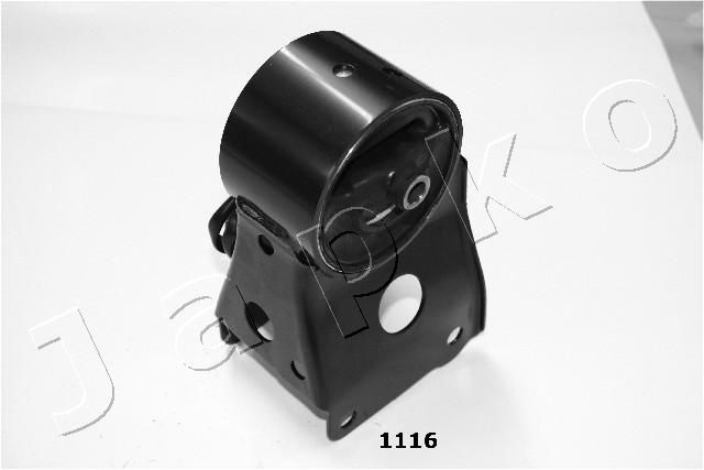 GOJ1116_1.JPG