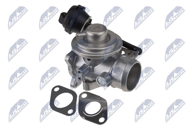 NTY EGR-VW-031 EGR Valve