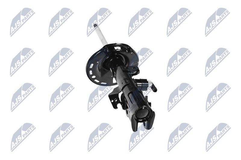 Amort, NTY A-TY-092