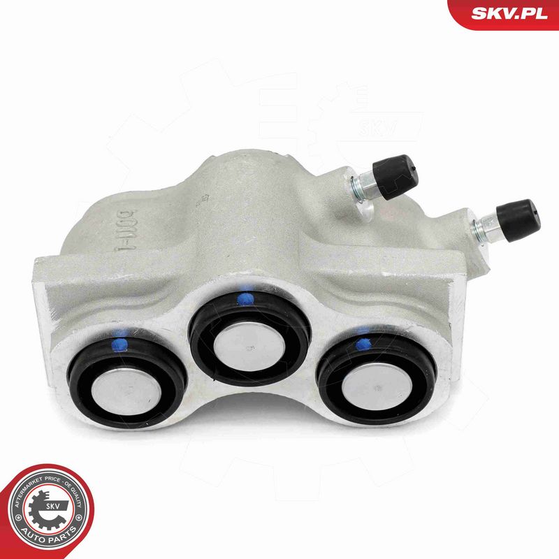 ESEN SKV 67SKV181 Brake Caliper